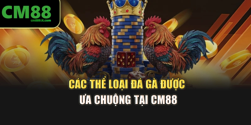 Các thể loại đá gà được ưa chuộng tại CM88