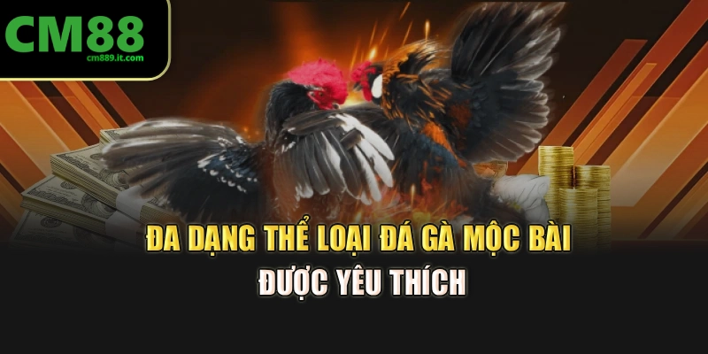 Đa dạng thể loại Đá Gà Mộc Bài được yêu thích