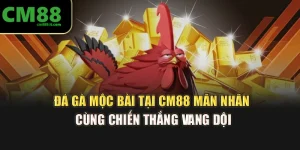 Đá Gà Mộc Bài Tại CM88 Mãn Nhãn Cùng Chiến Thắng Vang Dội